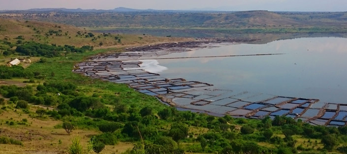 Queen Elizabeth National Park