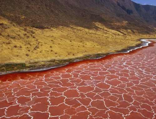 Lake Natron